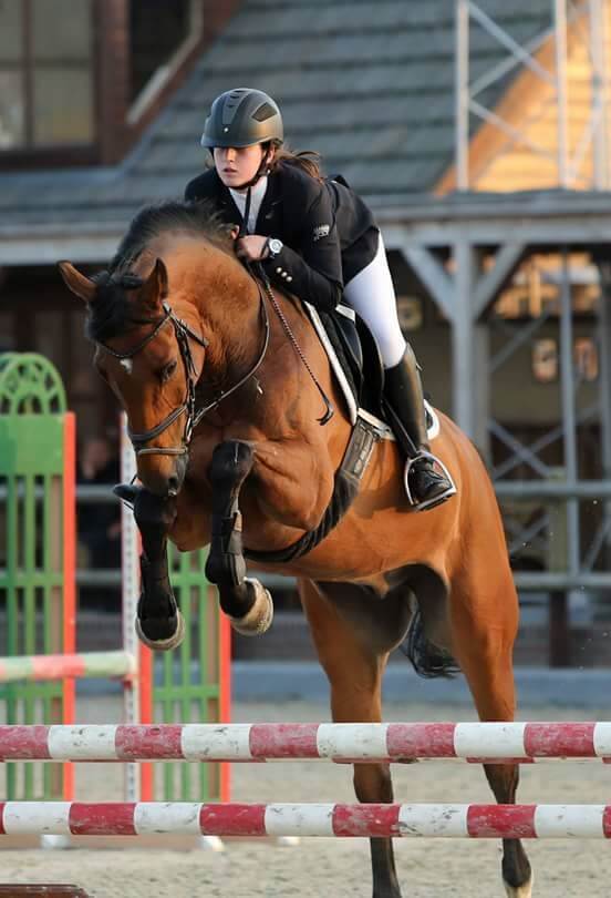 Hunter springen training exterieur